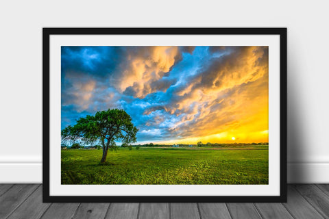 Framed print with optional mat of colorful storm clouds over a lone tree at sunset on a stormy spring evening in Texas by Sean Ramsey of Southern Plains Photography.