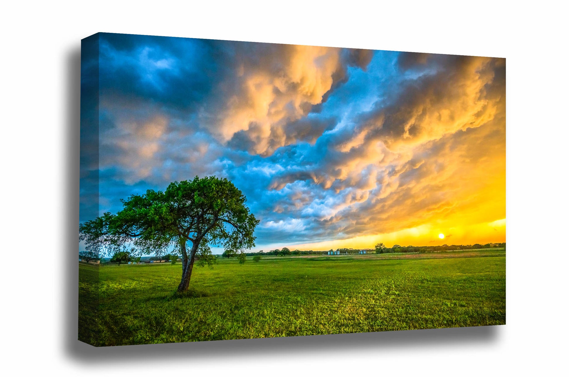 Landscape canvas wall art of colorful storm clouds over a lone tree at sunset on a stormy spring evening in Texas by Sean Ramsey of Southern Plains Photography.