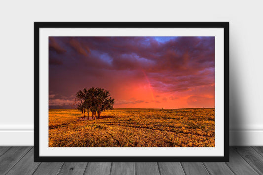 Framed and matted landscape print of a grove of trees in a sea of prairie grass as a rainbow shines in a stormy sky at sunset in Oklahoma by Sean Ramsey of Southern Plains Photography.