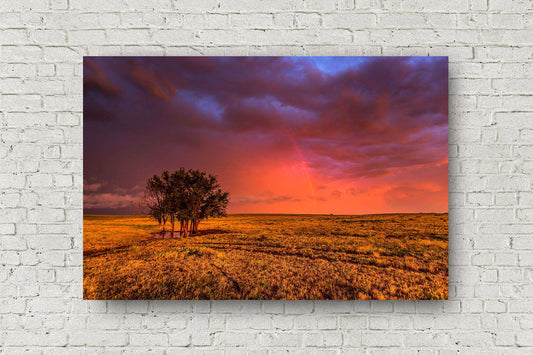 Great Plains metal print on aluminum of a stormy sky with a rainbow over a grove of trees on a spring evening in Oklahoma by Sean Ramsey of Southern Plains Photography.