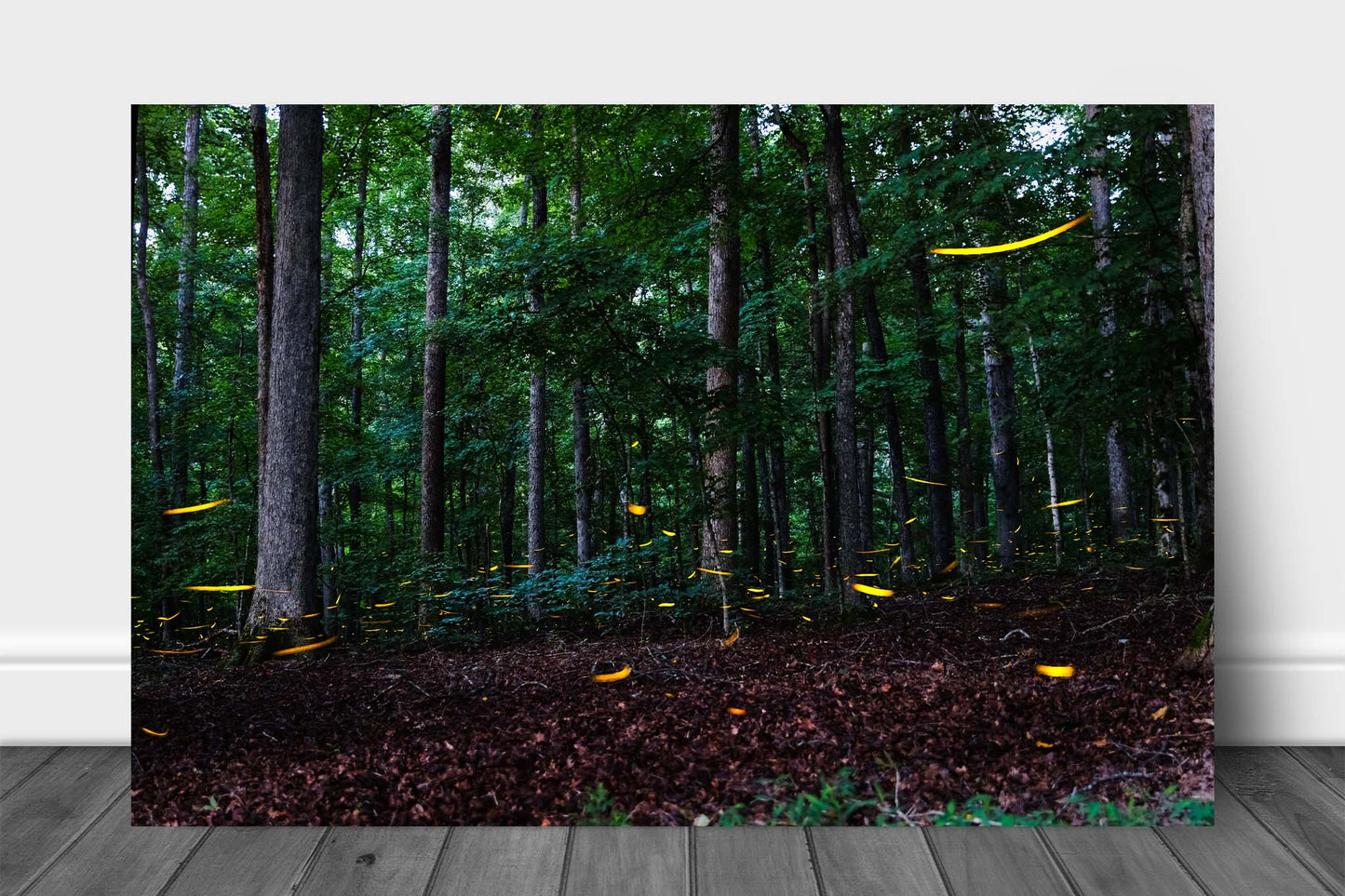 Nature aluminum metal print wall art of luminous fireflies dancing around in a dark woodland forest on a summer night in Tennessee by Sean Ramsey of Southern Plains Photography.