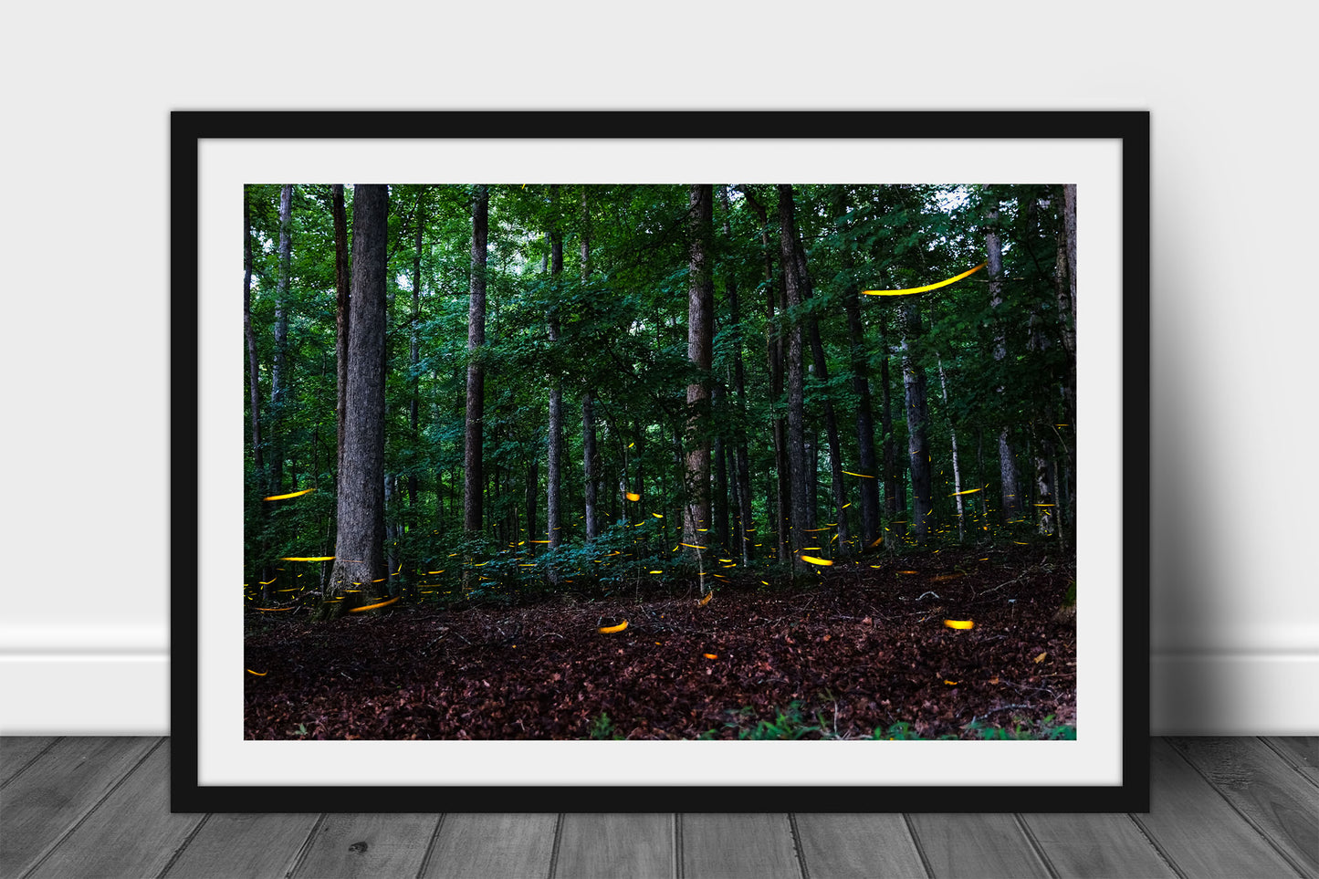 Framed and matted nature print of luminous fireflies dancing around in a dark woodland forest on a summer night in Tennessee by Sean Ramsey of Southern Plains Photography.