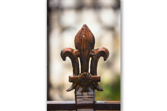 Vertical photography print of raindrops falling from a Fleur de Lis along an iron fence in the French Quarter of New Orleans, Louisiana by Sean Ramsey of Southern Plains Photography.