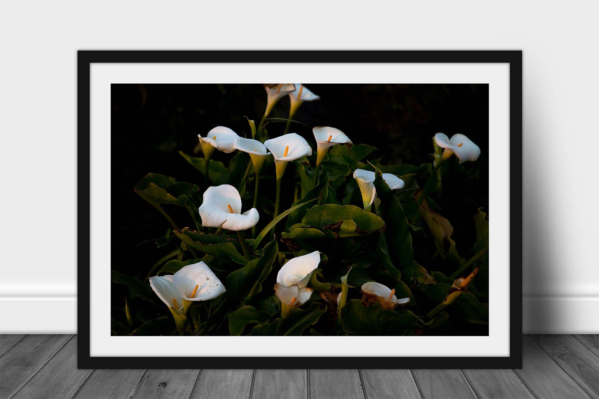 Framed floral print with optional mat of wild Calla Lilies along a beach at Big Sur, California by Sean Ramsey of Southern Plains Photography.