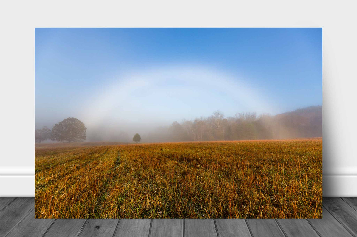 Nature aluminum metal print wall art of a fog bow shining over a field on a foggy autumn morning in the Great Smoky Mountains of Tennessee by Sean Ramsey of Southern Plains Photography.