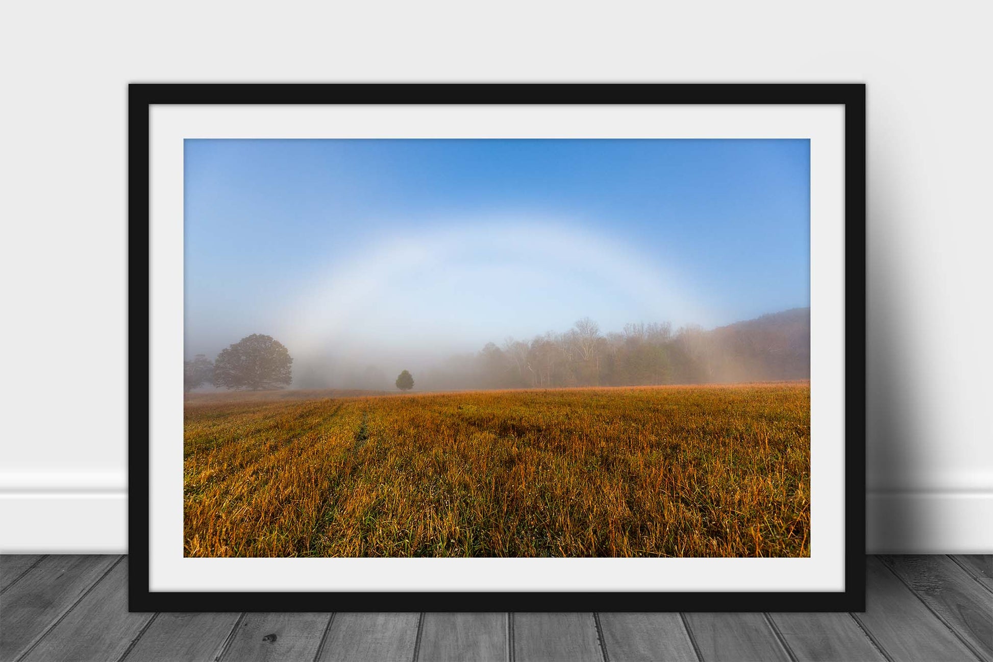 Framed nature print wall art of a fog bow shining over a field on a foggy autumn morning in the Great Smoky Mountains of Tennessee by Sean Ramsey of Southern Plains Photography.