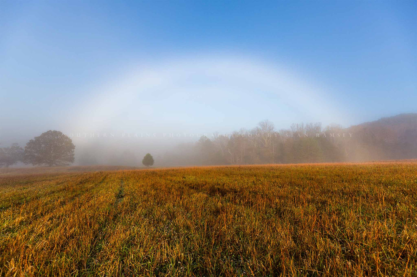 Nature photography print of a fog bow shining over a field on a foggy autumn morning in the Great Smoky Mountains of Tennessee by Sean Ramsey of Southern Plains Photography.