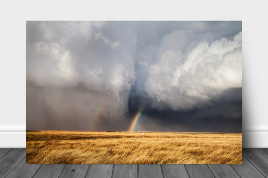 Weather metal print of a rainbow appearing between a rain wrapped tornado and storm cloud over golden prairie grass on a spring day in Kansas by Sean Ramsey of Southern Plains Photography.