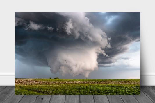 Supercell thunderstorm aluminum metal print wall art of a wall cloud under a mesocyclone reaching for ground level on a stormy spring day on the plains of the Oklahoma panhandle by Sean Ramsey of Southern Plains Photography.