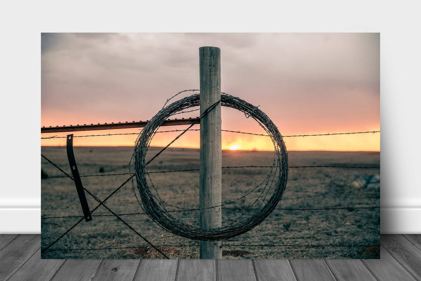 Western aluminum metal print wall art of rolled barbed wire on a fence post at sunset on a winter evening in Oklahoma by Sean Ramsey of Southern Plains Photography.