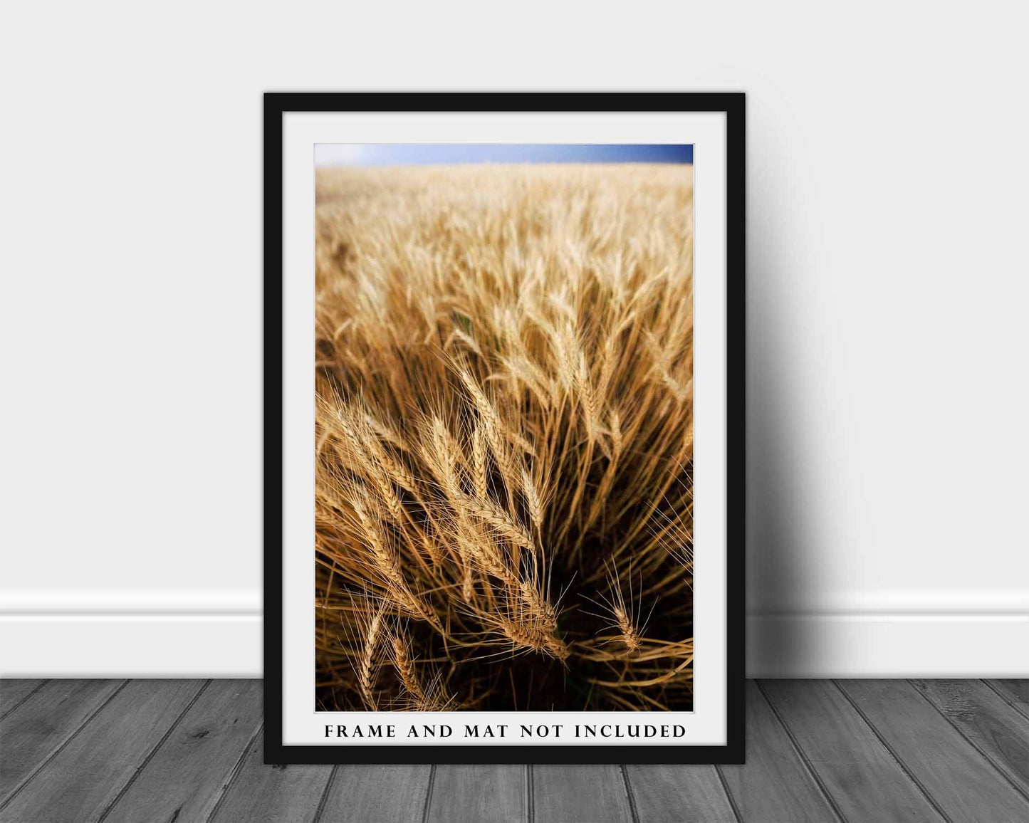 Golden Wheat Field Photography Print | Vertical Farm Picture | Country Wall Art | Oklahoma Photo | Farmhouse Decor | Not Framed