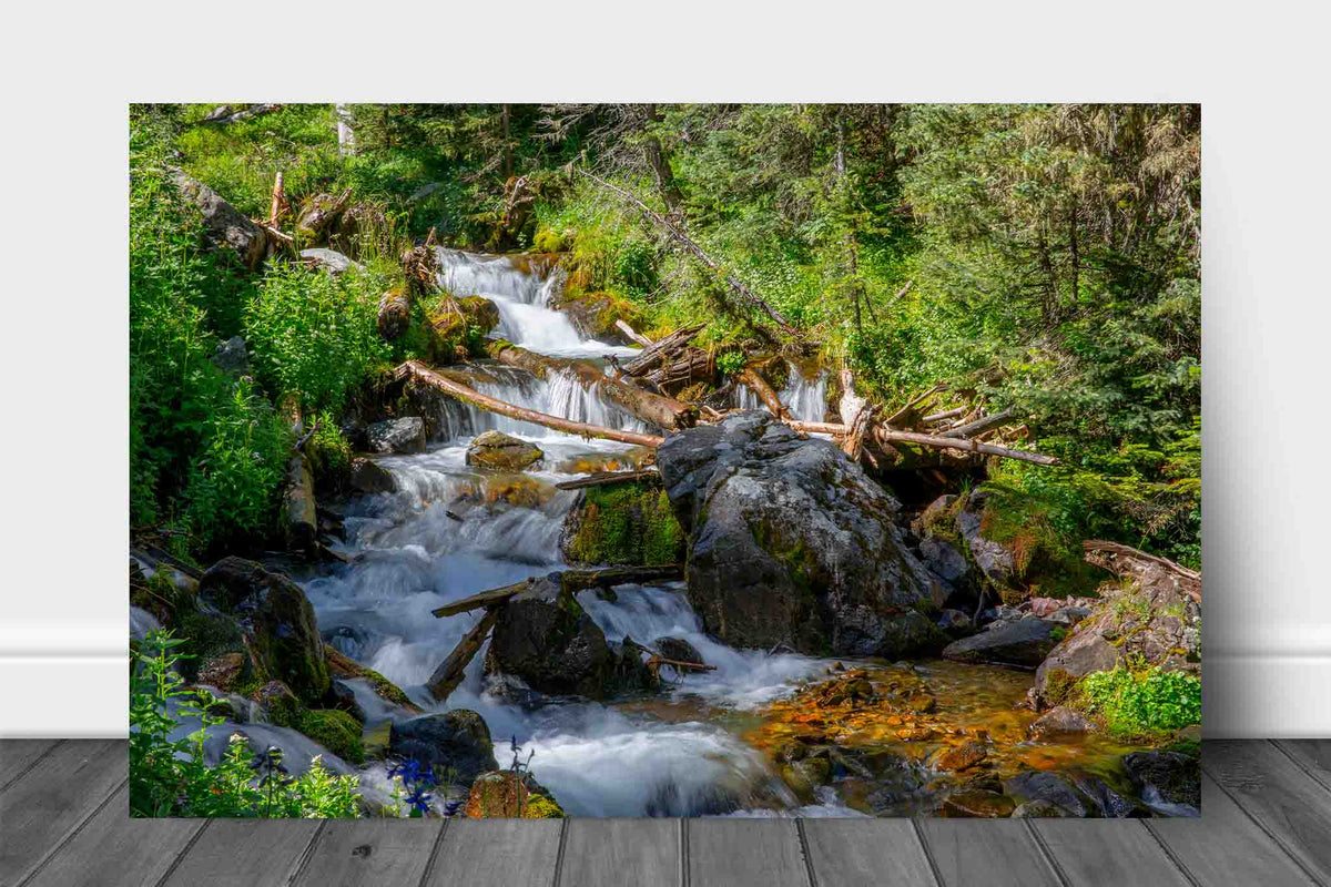 Rocky Mountain landscape aluminum metal print wall art of a creek with cascading waterfalls on a beautiful day in New Mexico by Sean Ramsey of Southern Plains Photography.