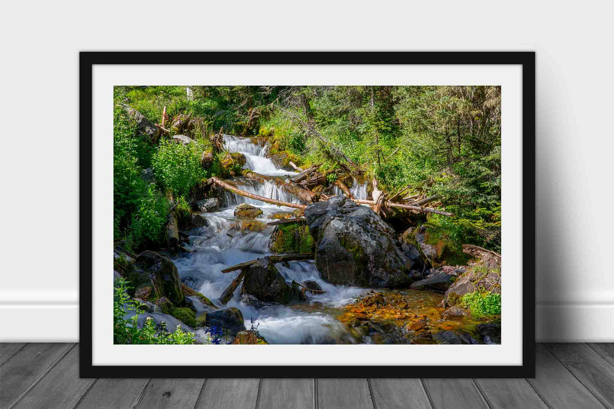 Framed Rocky Mountain landscape print wall art of a creek with cascading waterfalls on a beautiful day in New Mexico by Sean Ramsey of Southern Plains Photography.