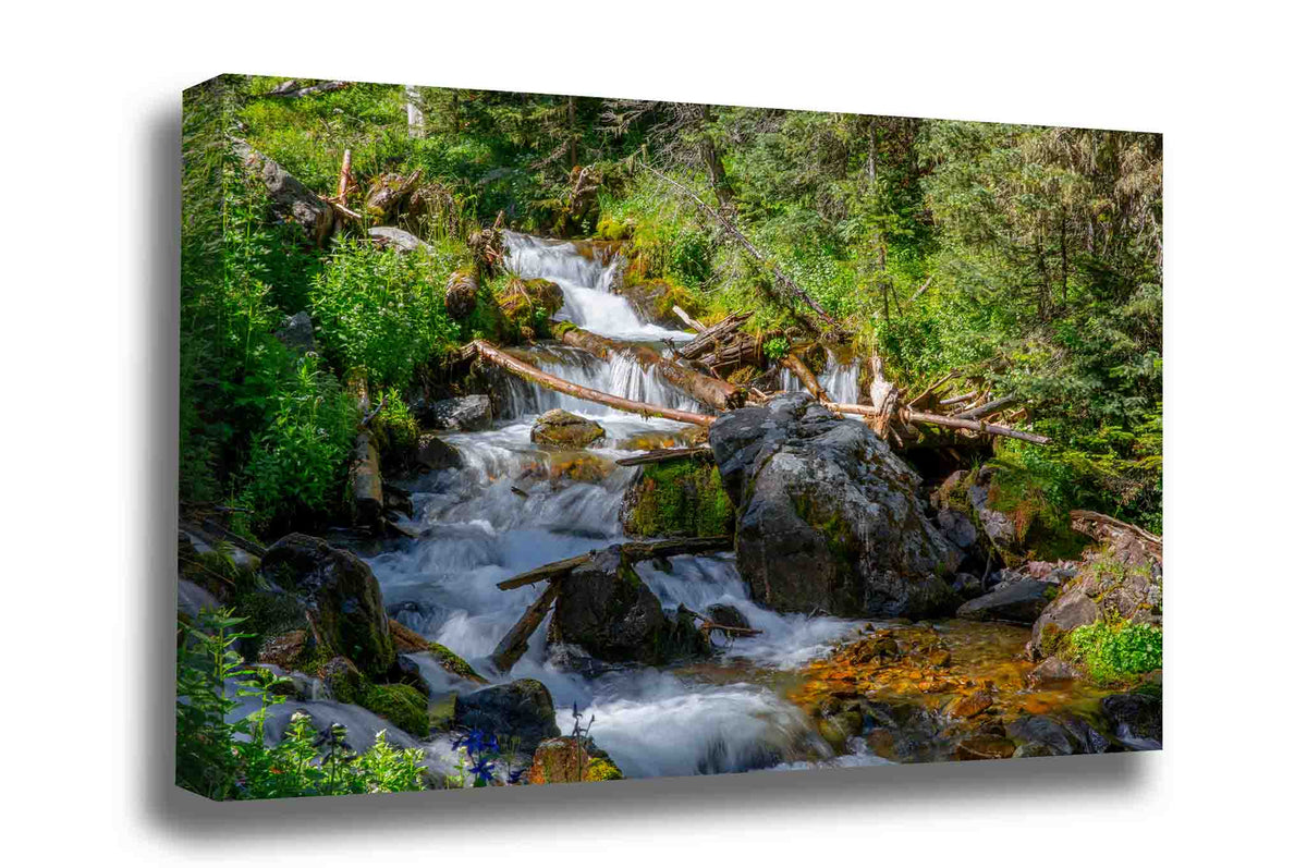 Rocky Mountain landscape gallery wrap canvas wall art of a creek with cascading waterfalls on a beautiful day in New Mexico by Sean Ramsey of Southern Plains Photography.