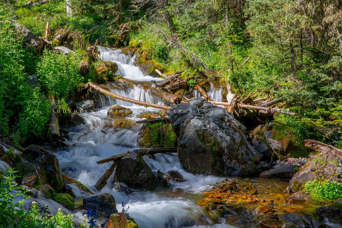 Rocky Mountain landscape photography print of a creek with cascading waterfalls on a beautiful day in New Mexico by Sean Ramsey of Southern Plains Photography.