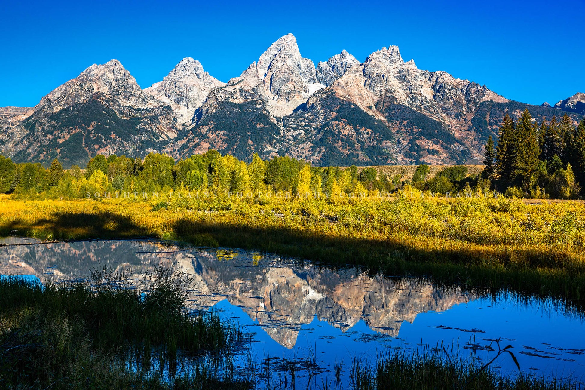 Rocky Mountain photography print of Grand Teton reflecting off the water in a marsh at Schwabacher Landing on an autumn day in Wyoming by Sean Ramsey of Southern Plains Photography.