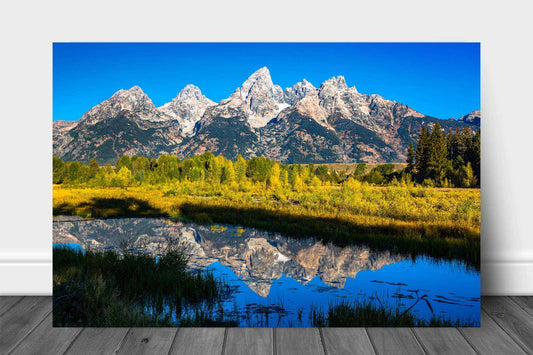Rocky Mountain metal print of Grand Teton reflecting off a marsh at Schwabacher Landing on an autumn day in Grand Teton National Park, Wyoming by Sean Ramsey of Southern Plains Photography.