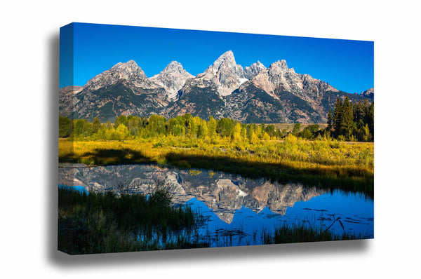 Rocky Mountains canvas wall art of Grand Teton reflecting off a marsh at Schwabacher Landing on an autumn day in Grand Teton National Park, Wyoming by Sean Ramsey of Southern Plains Photography.