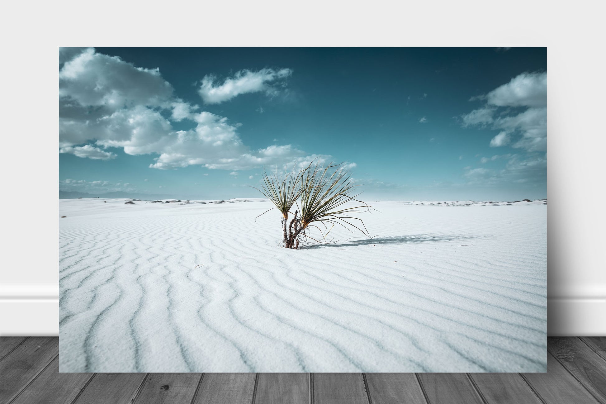 Vintage style aluminum metal print wall art of a yucca plant in the rippled sand of White Sands National Park near Alamogordo, New Mexico by Sean Ramsey of Southern Plains Photography.