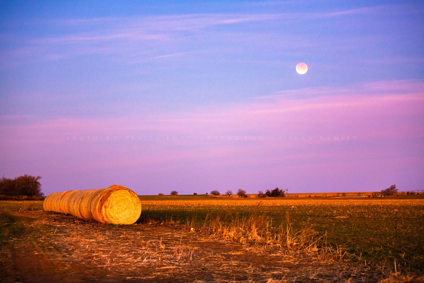 Celestial photography print of a blood moon over a row of round hay bales in a field at sunrise in western Oklahoma by Sean Ramsey of Southern Plains Photography.