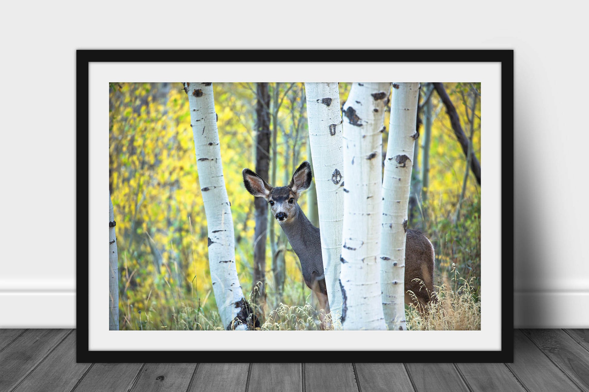Framed and matted wildlife print of an adolescent mule deer hiding behind aspen trees on an autumn day at the Maroon Bells near Aspen, Colorado by Sean Ramsey of Southern Plains Photography.