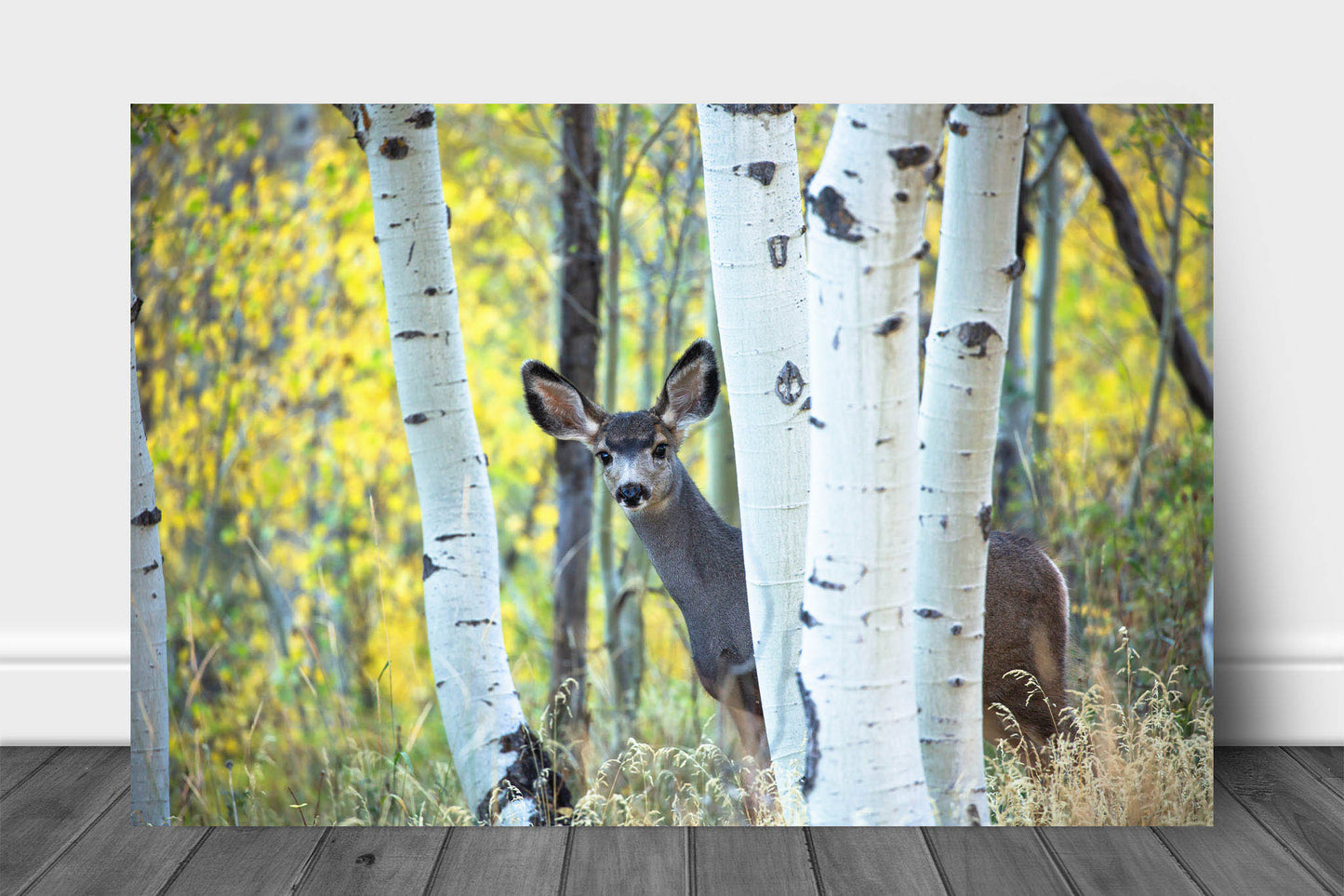 Wildlife metal print of an adolescent mule deer hiding behind Aspen trees on an autumn day at the Maroon Bells in Colorado by Sean Ramsey of Southern Plains Photography.