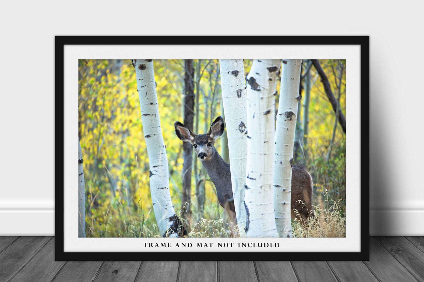 Wildlife Photo Print | Mule Deer and Aspen Trees Picture | Colorado Wall Art | Animal Photography | Nature Decor