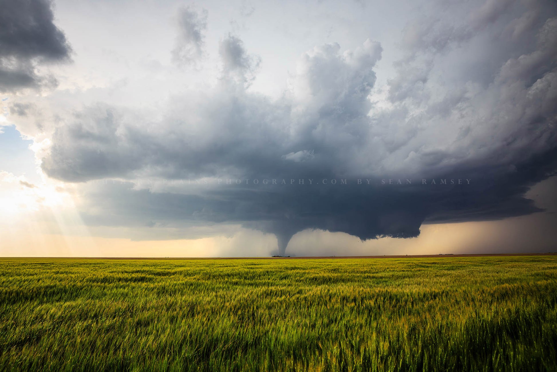 Storm photography print of a supercell thunderstorm producing a tornado behind a farmhouse in a wheat field on a stormy spring day in Kansas by Sean Ramsey of Southern Plains Photography.