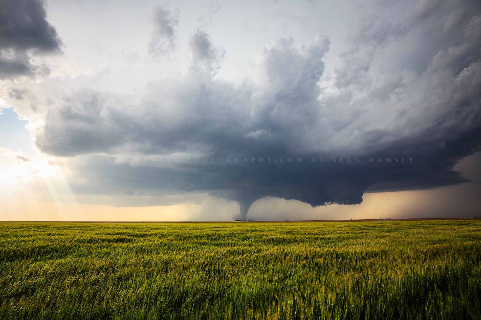 Storm photography print of a distant tornado over a wheat field on a stormy spring day in Kansas by Sean Ramsey of Southern Plains Photography.