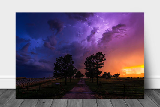 Storm aluminum metal print wall art of a dramatic stormy landscape with purple and blue lightning in the sky over a rural path lined with trees at sunset on a spring evening in Oklahoma by Sean Ramsey of Southern Plains Photography.