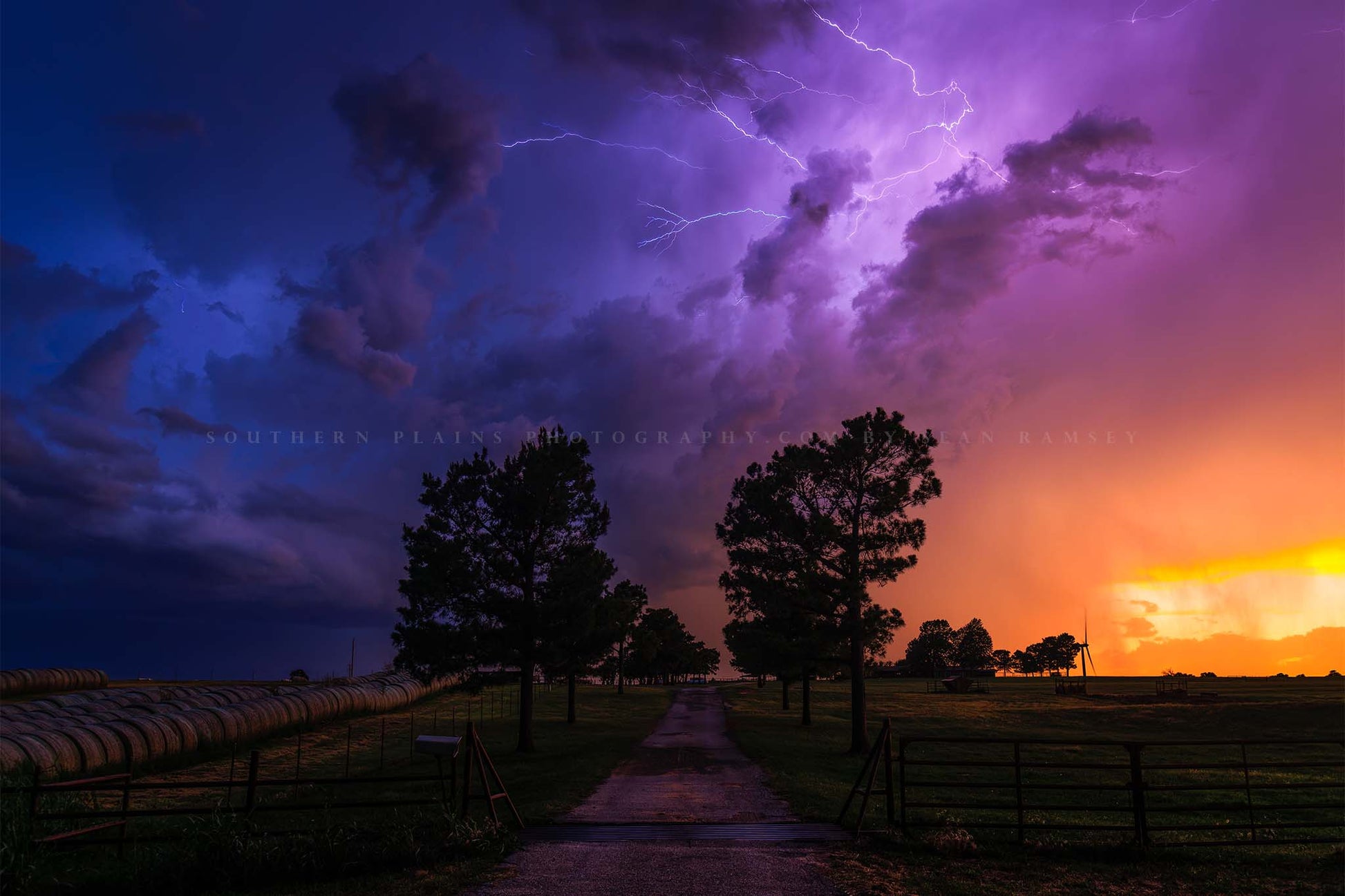Storm photography print of a dramatic stormy landscape with purple and blue lightning in the sky over a rural path lined with trees at sunset on a spring evening in Oklahoma by Sean Ramsey of Southern Plains Photography.
