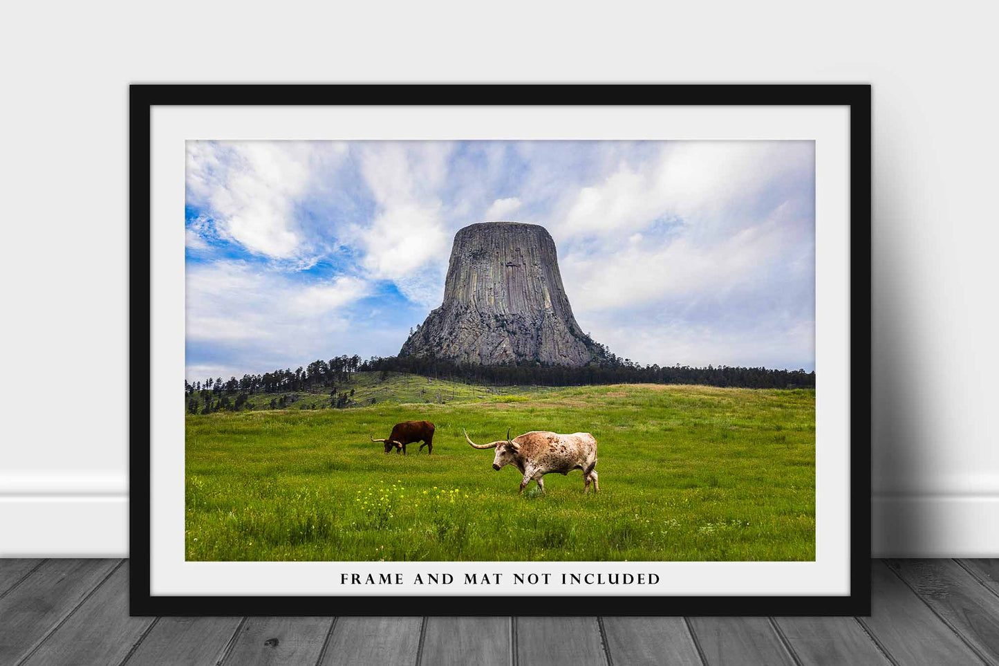 Western Photo Print | Longhorns at Devils Tower Picture | Wyoming Wall Art | Landscape Photography | Black Hills Decor