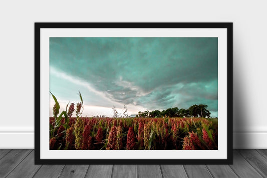 Maize Field Framed and Matted Print | Storm Photo | Farm and Country Decor | Oklahoma Photography | Farmhouse Wall Art | Ready to Hang