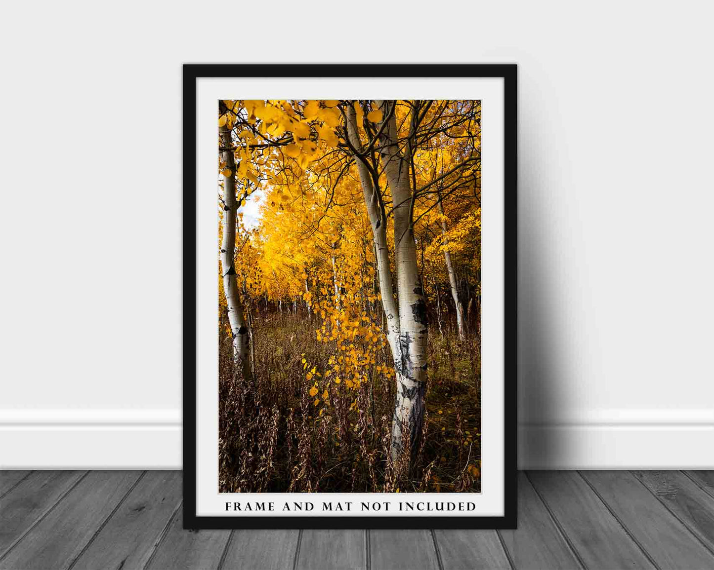 Autumn Photography Print - Vertical Picture of Aspen Trees on Fall Day in Wyoming - Rocky Mountain Forest Wall Art Nature Photo Artwork
