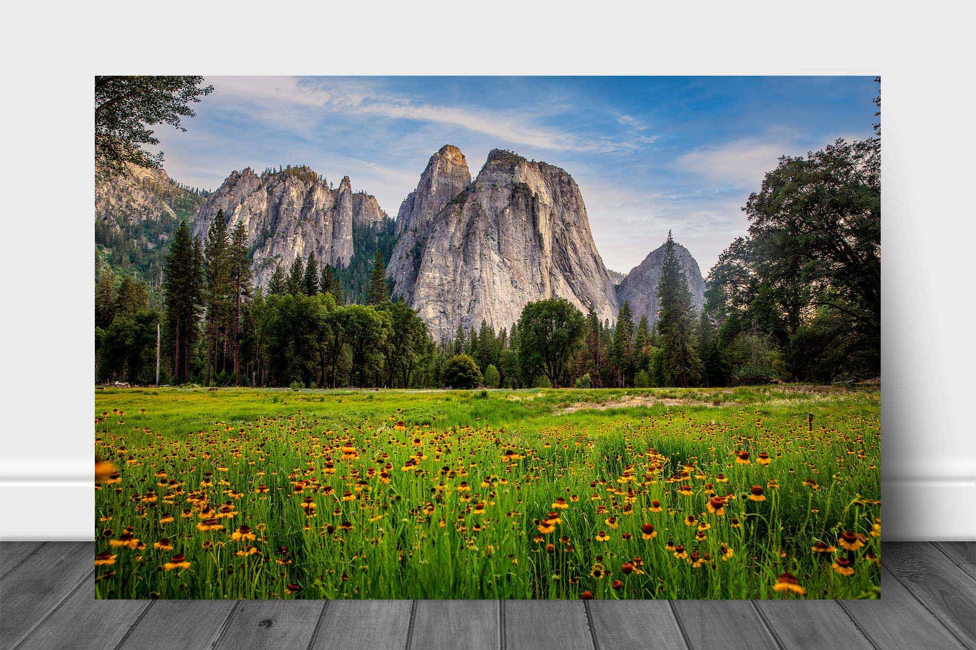 Western aluminum metal print wall art of wildflowers at Cathedral Rocks in Yosemite National Park, California by Sean Ramsey of Southern Plains Photography.