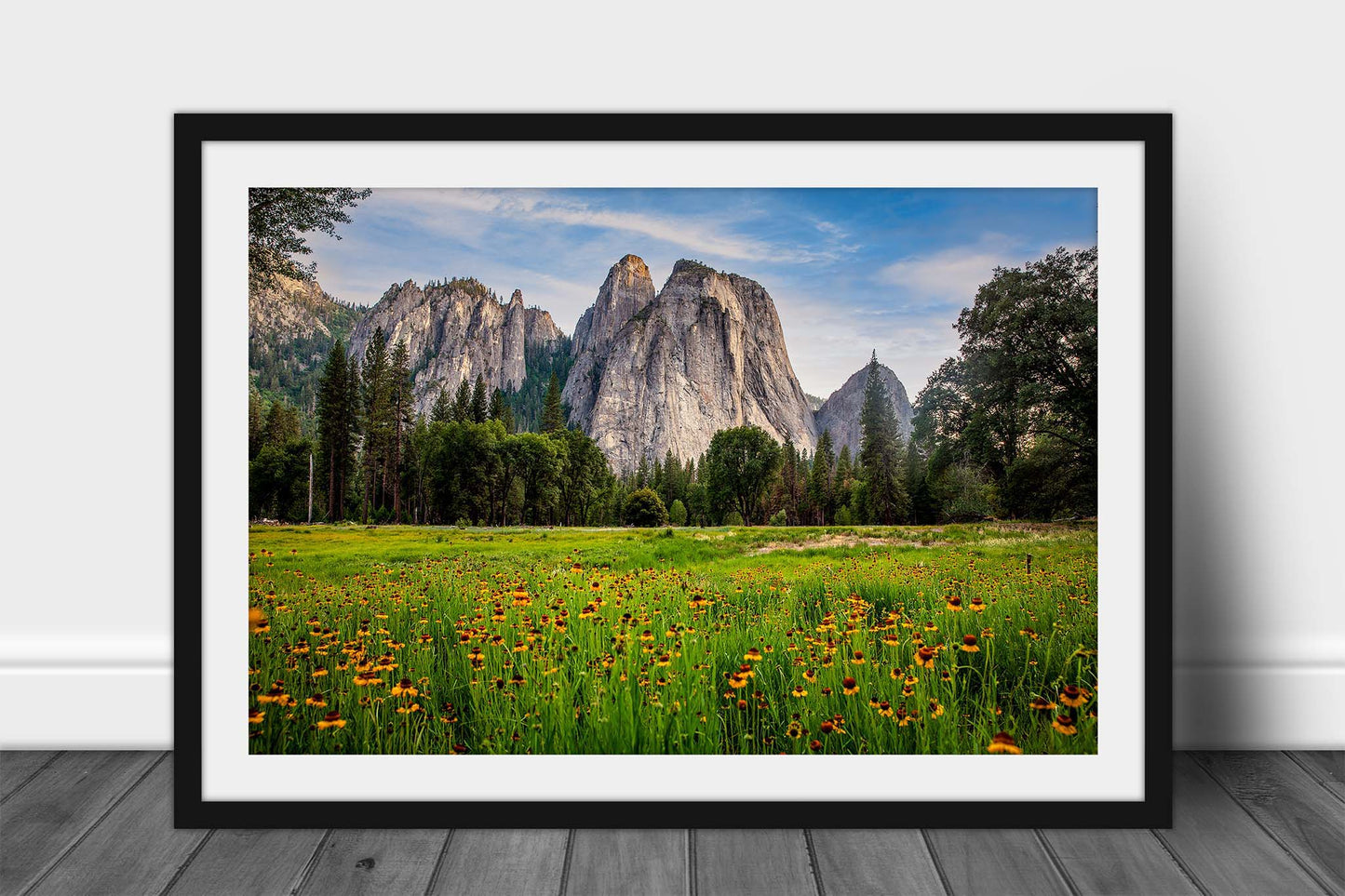 Framed and matted western landscape print of wildflowers at Cathedral Rocks in Yosemite National Park, California by Sean Ramsey of Southern Plains Photography.