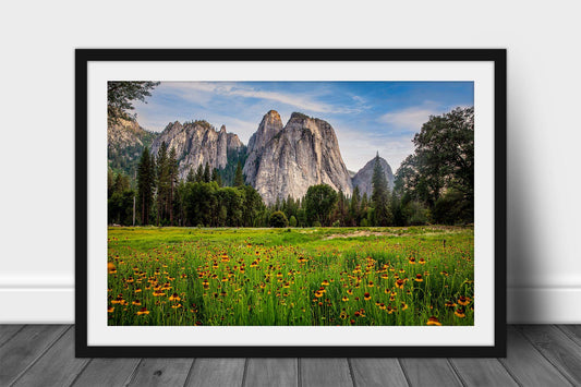 Framed and matted western landscape print of wildflowers at Cathedral Rocks in Yosemite National Park, California by Sean Ramsey of Southern Plains Photography.