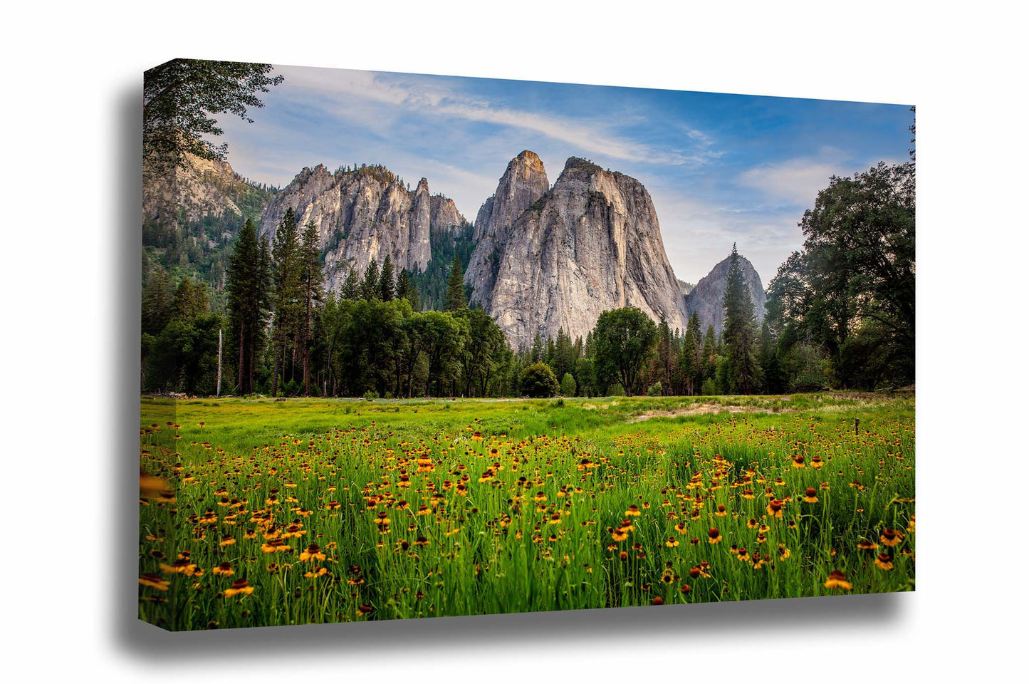 Western gallery wrapped canvas wall art of wildflowers at Cathedral Rocks in Yosemite National Park, California by Sean Ramsey of Southern Plains Photography.
