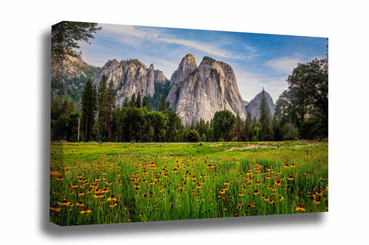 Western gallery wrapped canvas wall art of wildflowers at Cathedral Rocks in Yosemite National Park, California by Sean Ramsey of Southern Plains Photography.
