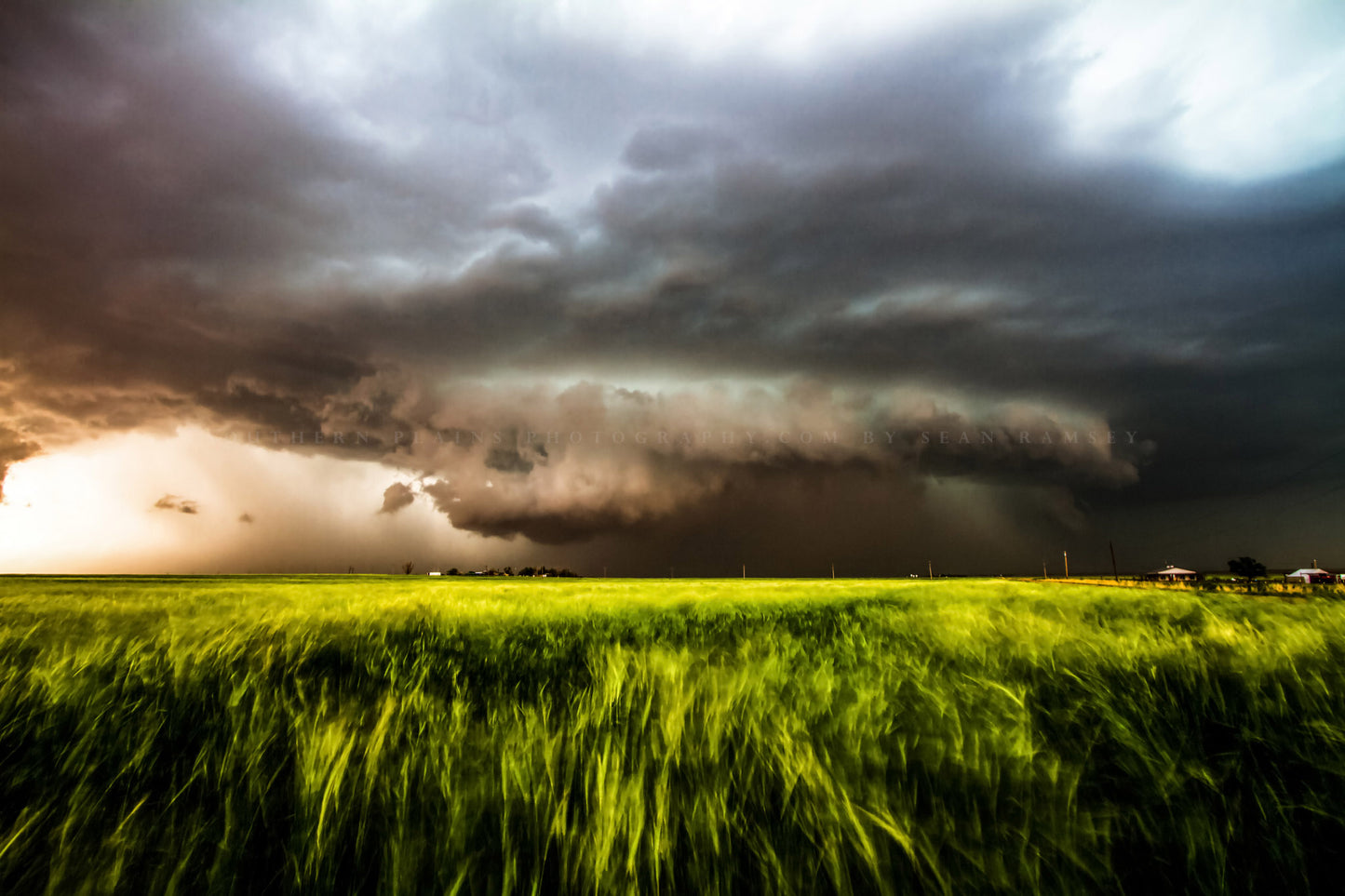 Storm photography print of a supercell thunderstorm with inflow winds pulling wheat toward it on a stormy spring day in Oklahoma by Sean Ramsey of Southern Plains Photography.