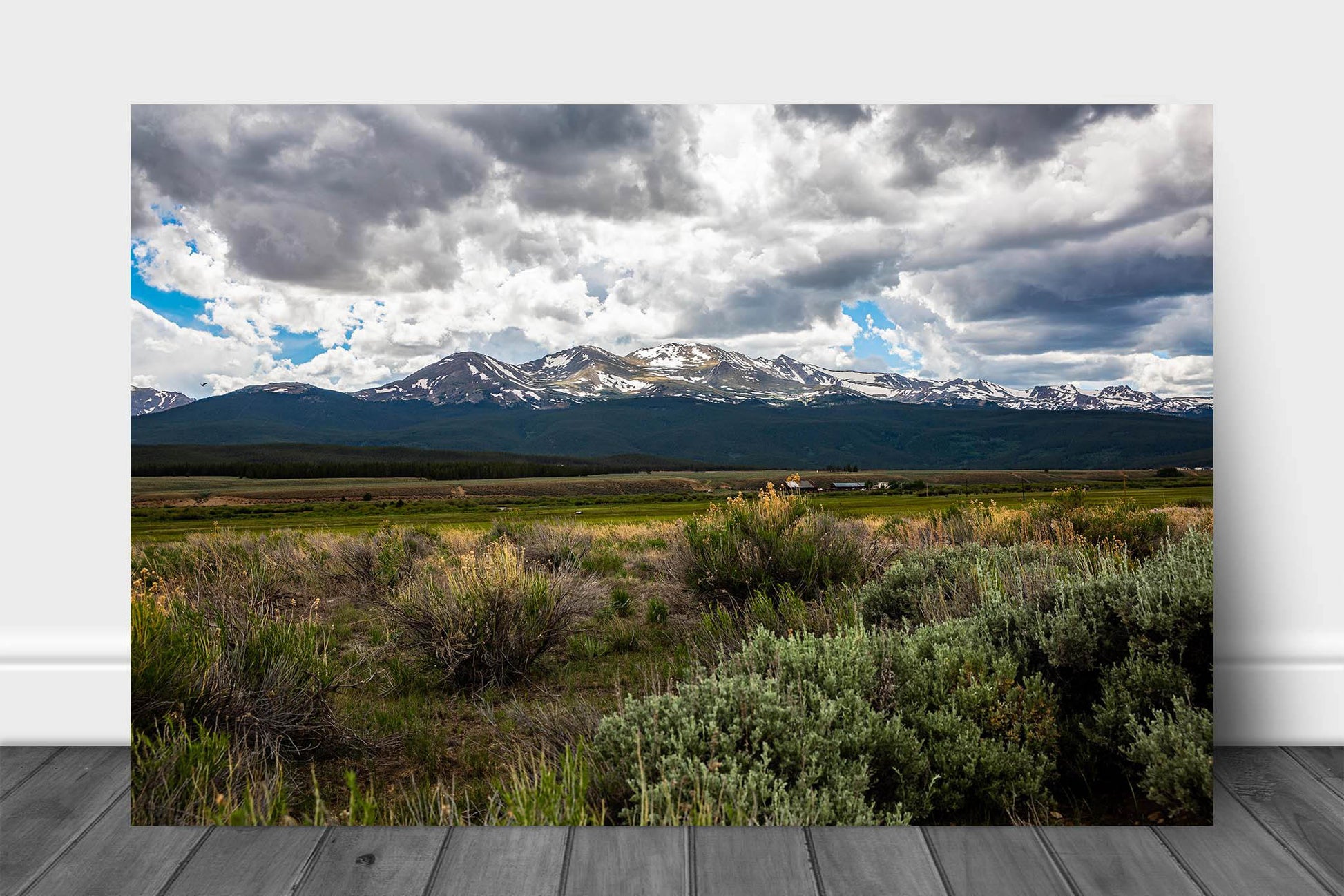 Rocky Mountain aluminum metal print wall art of Mount Massive on a summer day near Leadville, Colorado by Sean Ramsey of Southern Plains Photography.