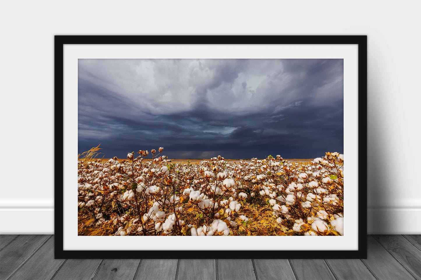 Framed farm and country print wall art of a cotton field and thunderstorm on a stormy day in Kansas by Sean Ramsey of Southern Plains Photography.