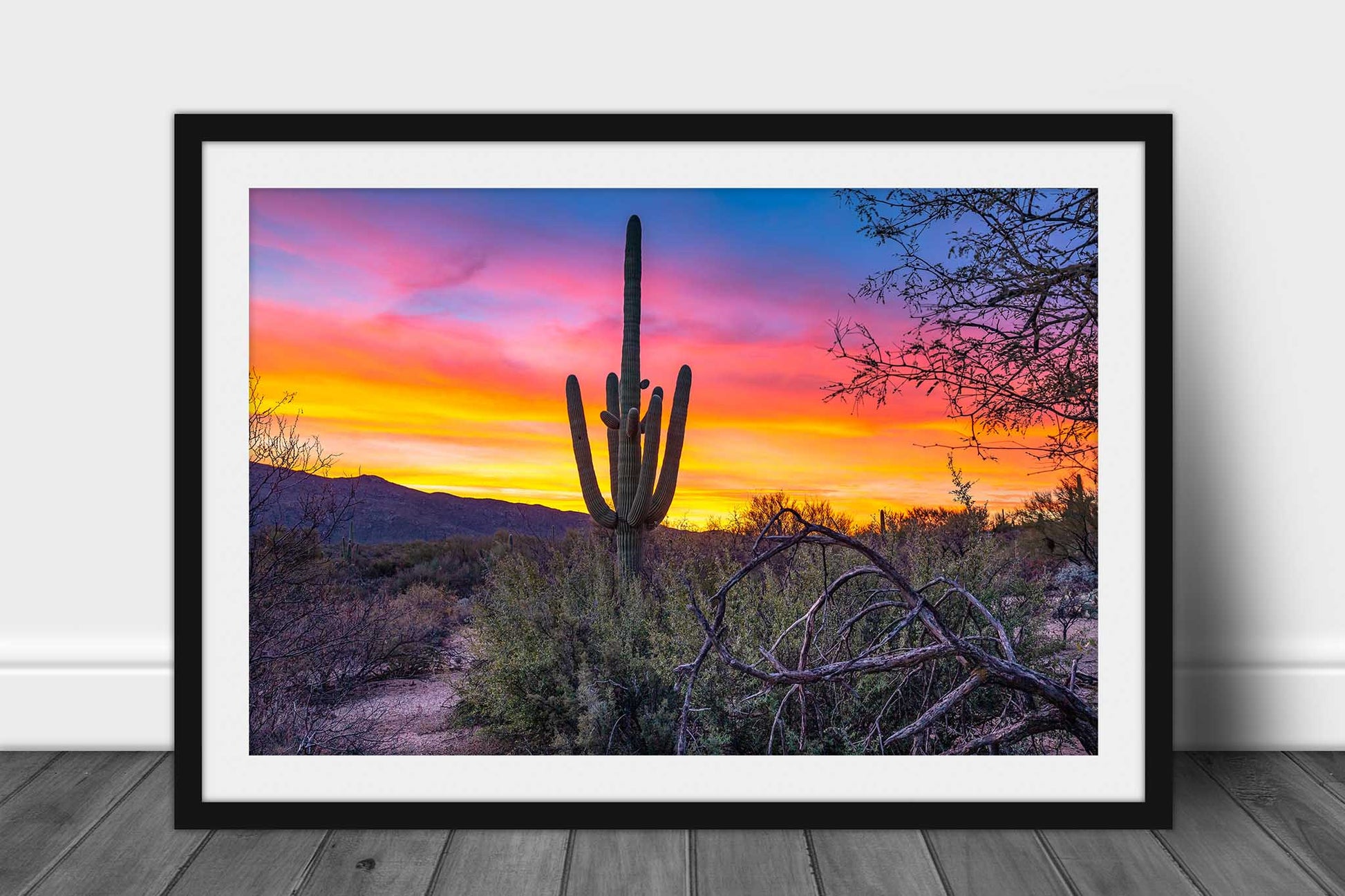 Framed western print of a large saguaro standing tall against a vivid sky at sunrise in the Sonoran Desert near Tucson, Arizona by Sean Ramsey of Southern Plains Photography.