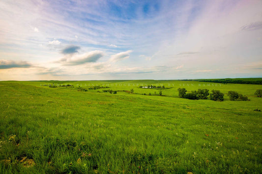 Great Plains photography print of the open prairie under a blue sky on a spring day at the Tallgrass Prairie Preserve in the Flint Hills of Kansas by Sean Ramsey of Southern Plains Photography.