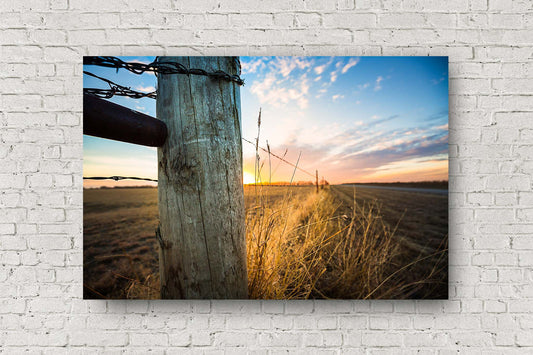 Country aluminum metal print wall art of a fence post and prairie grass illuminated by sunlight at sunset on a winter evening in Oklahoma by Sean Ramsey of Southern Plains Photography.