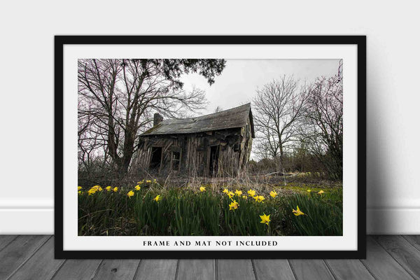 Country Photography Print - Picture of Abandoned House and Daffodils on Spring Day in Arkansas - Rustic Farmhouse Photo Artwork Decor