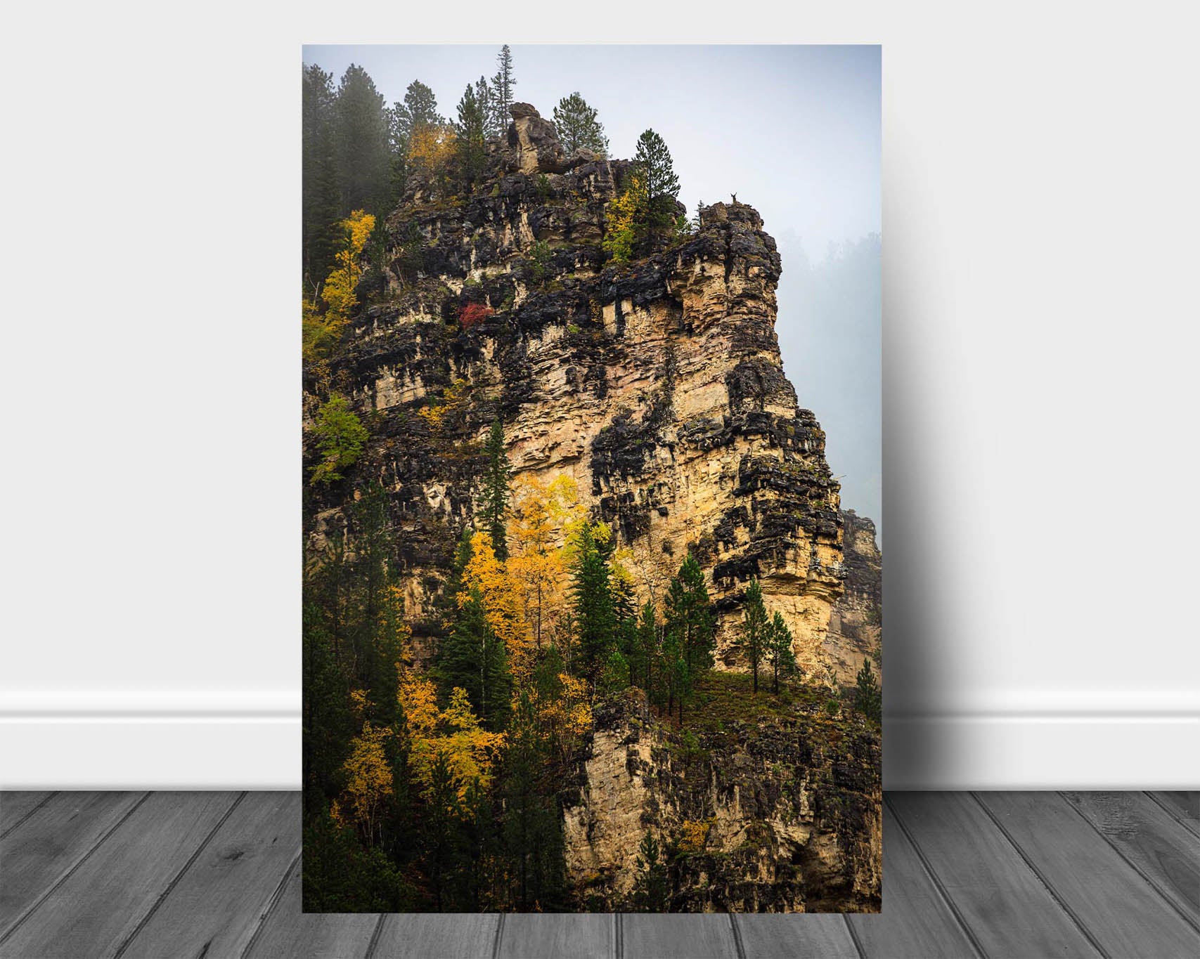 Vertical Black Hills aluminum metal print wall art of blackened ledges with fall color on a foggy autumn day in Spearfish Canyon, South Dakota by Sean Ramsey of Southern Plains Photography.