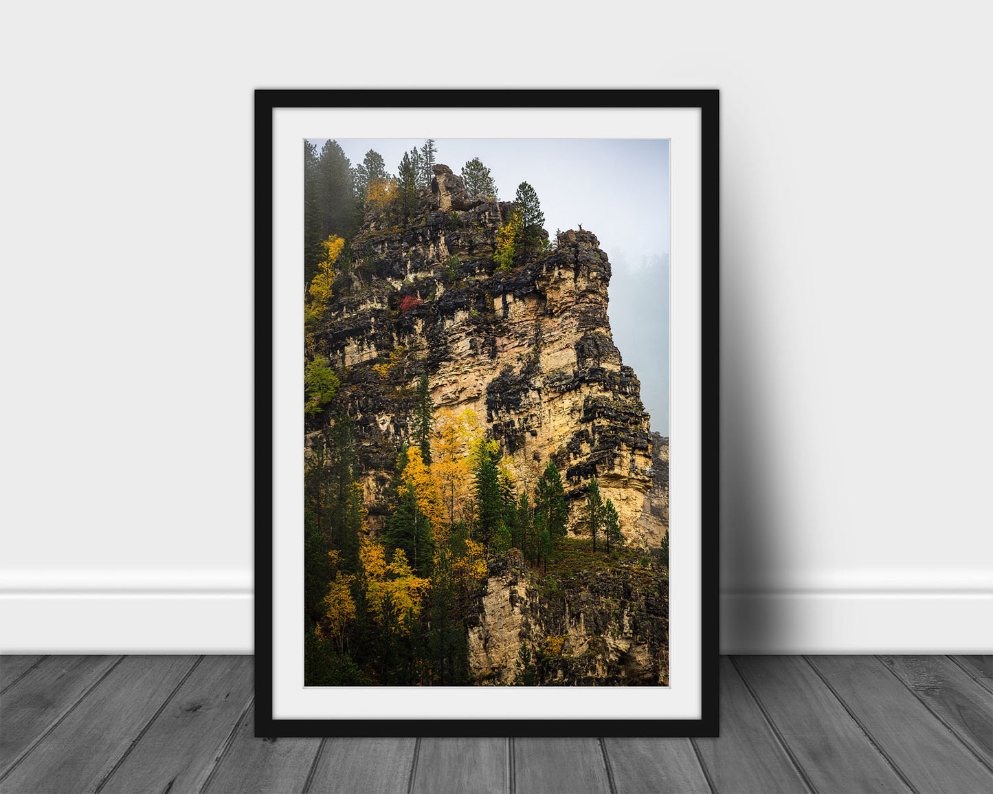 Framed and matted vertical Black Hills print of blackened ledges with fall color on a foggy autumn day in Spearfish Canyon, South Dakota by Sean Ramsey of Southern Plains Photography.