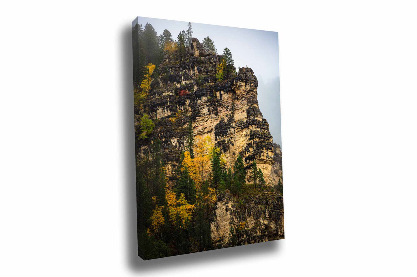 Vertical Black Hills gallery wrapped canvas wall art of blackened ledges with fall color on a foggy autumn day in Spearfish Canyon, South Dakota by Sean Ramsey of Southern Plains Photography.