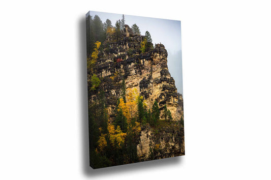 Vertical Black Hills gallery wrapped canvas wall art of blackened ledges with fall color on a foggy autumn day in Spearfish Canyon, South Dakota by Sean Ramsey of Southern Plains Photography.